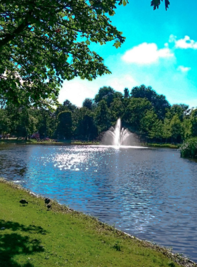 This image shows Vondelpark, a lush green space in the heart of Amsterdam, filled with wide open meadows, people enjoying picnics, and cyclists riding along peaceful paths.