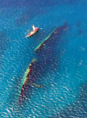 This image shows that the SS Antilla shipwreck, located off the coast of Aruba, is a popular diving site where visitors can explore the wreckage surrounded by marine life in crystal-clear waters.

