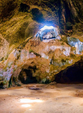  This image shows that Arikok National Park in Aruba offers diverse landscapes, including rugged hiking trails, caves, and wildlife, allowing visitors to explore the island’s natural beauty and history.