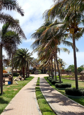 This image shows that Philip’s Animal Garden in Aruba is home to a variety of exotic animals, including monkeys and large cats, offering visitors an opportunity to learn about conservation efforts and animal care.

