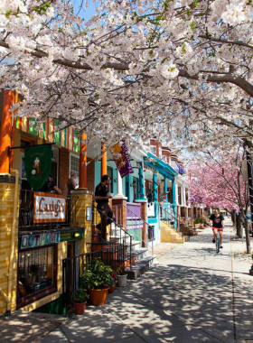  This image shows the colorful storefronts and unique murals along Hampden’s 36th Street, also known as “The Avenue,” highlighting its artistic and bohemian charm.
