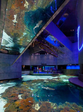 This image shows the dolphin exhibit at the National Aquarium in Baltimore, showcasing the marine life displays and interactive educational experiences offered to visitors.
