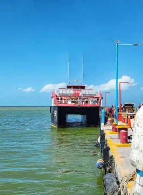  This image shows a boat tour to Isla Holbox, a remote tropical island known for its serene beaches, abundant wildlife, and tranquil atmosphere, perfect for nature lovers.