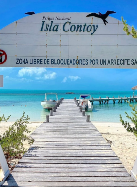 This image shows Isla Contoy’s vibrant wildlife and lush natural landscapes, a protected sanctuary perfect for birdwatching, snorkeling, and exploring unspoiled nature.