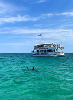 This image shows playful dolphins jumping near a boat during a dolphin cruise in Destin, offering a breathtaking view of the Gulf waters and marine life.

