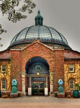 This image shows the engaging penguin exhibit at the Detroit Zoo, providing a close look at wildlife in a naturalistic habitat.