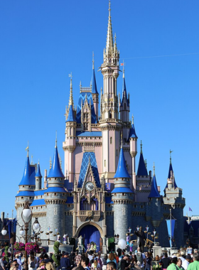 "This image shows the iconic Cinderella Castle at Magic Kingdom in Disney World, with vibrant fireworks lighting up the night sky, capturing the enchanting atmosphere of the park."