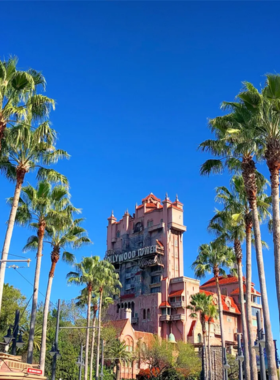 This image shows the exciting rides at Disney’s Hollywood Studios, with guests enjoying thrilling experiences like the Tower of Terror and Star Wars-themed attractions in a movie-themed setting."