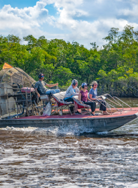 "This image shows an airboat speeding through the Everglades, surrounded by lush greenery and wild animals like alligators and exotic birds, offering an unforgettable adventure through the wetlands."