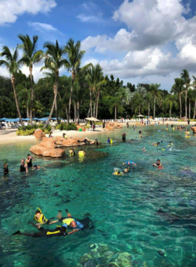  "This image shows a visitor swimming with dolphins at Discovery Cove, a unique aquatic park in Florida, where guests interact with marine life in a natural, all-inclusive environment."