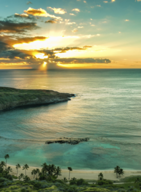 This image shows visitors snorkeling in the crystal-clear waters of Hanauma Bay, surrounded by colorful coral reefs and vibrant tropical fish. The bay's shallow waters make it a popular spot for beginners and experienced snorkelers alike.