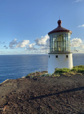  This image shows hikers walking along the Makapu’u Point Lighthouse Trail, with stunning views of the ocean and rugged cliffs. The trail leads to the historic lighthouse, offering beautiful scenery and bird-watching opportunities.