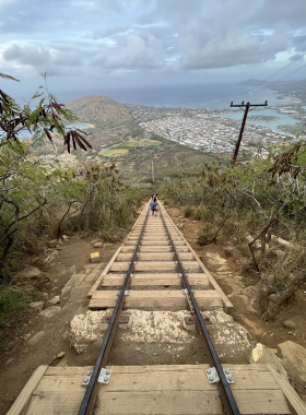 This image shows the steep steps of the Koko Crater Railway, with determined hikers making their way to the summit. The challenging hike rewards with breathtaking views of Oahu’s coastline and lush landscapes.