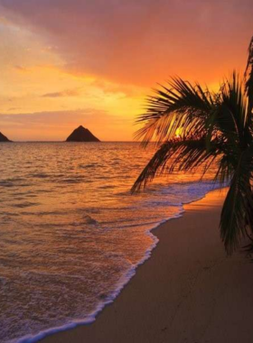 This image shows the serene beauty of Lanikai Beach, with soft golden sand, turquoise waters, and the Mokulua Islands in the background. The peaceful atmosphere and clear waters make it a perfect spot for relaxation.