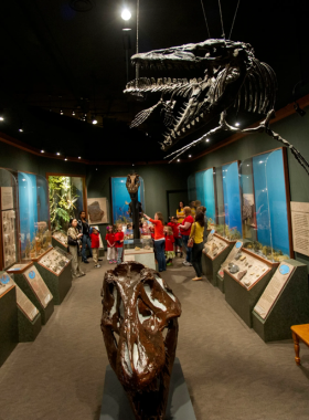  This image shows McClung Museum of Natural History & Culture in Knoxville, where visitors explore ancient fossils, Native American artifacts, and exhibits that highlight the region’s rich history and natural wonders.