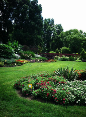 This image shows the UT Gardens in Knoxville, showcasing various plant species and beautifully landscaped areas. The gardens are an educational and tranquil space for visitors interested in horticulture and nature.