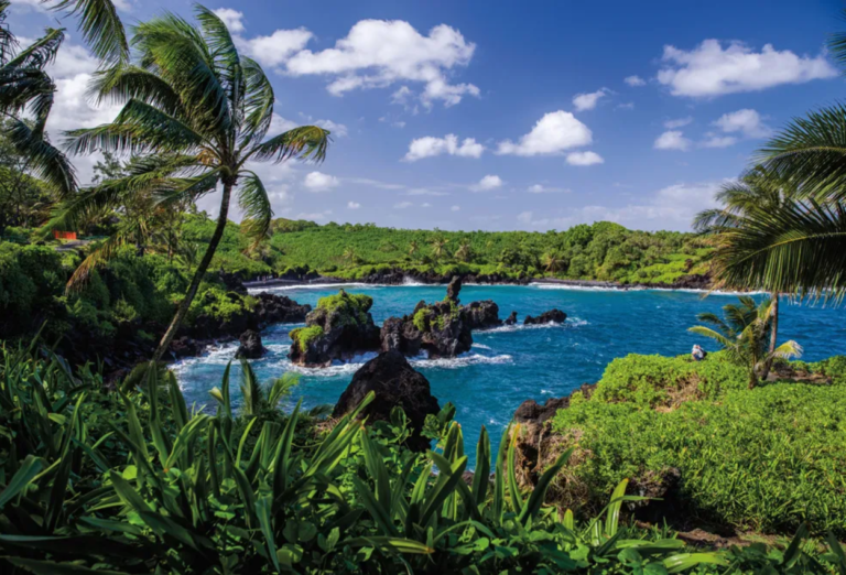 The Top 15 Things to Do in Maui for Every Adventurer