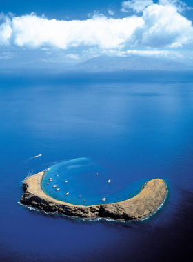  This image shows crystal-clear waters at Molokini Crater, where snorkelers are exploring vibrant coral reefs and colorful tropical fish.