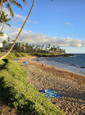  This image shows the tranquil shores of Wailea Beach, lined with palm trees and luxury resorts overlooking calm blue waters.