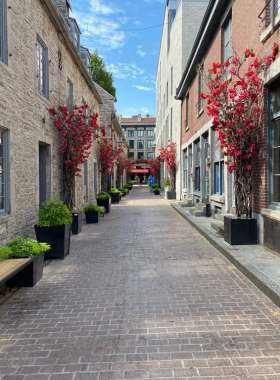  This image shows the charming cobblestone streets of Old Montreal, lined with historic buildings and lively cafes, offering a glimpse into the city's rich past.