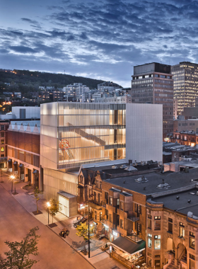  This image shows the grand gallery of the Montreal Museum of Fine Arts, where visitors can explore a wide range of art from classic European to contemporary Canadian pieces.