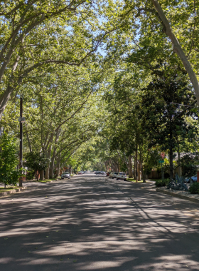  This image shows a vibrant street scene in Midtown Sacramento, with colorful murals, trendy restaurants, and bustling pedestrians. Midtown offers a lively atmosphere with something for everyone, from art galleries to unique shopping spots.