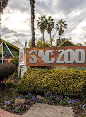 This image shows an animal exhibit at the Sacramento Zoo, with a variety of species on display. The zoo offers a family-friendly environment where visitors can learn about wildlife conservation and see animals from around the world.