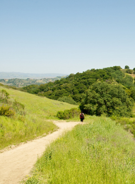 "This image shows hikers enjoying scenic views along the trails of Almaden Quicksilver County Park, with lush greenery and remnants of historic mercury mines in the background, perfect for outdoor enthusiasts."