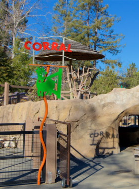 "This image shows children interacting with animals at Happy Hollow Park and Zoo in San Jose, where families can enjoy a blend of wildlife exhibits and amusement park rides for all ages."