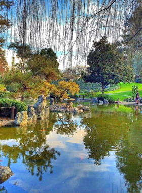 : "This image shows the tranquil Japanese Friendship Garden in Kelley Park, San Jose, with serene ponds, koi fish, and lush greenery, offering a peaceful escape and cultural experience for visitors."