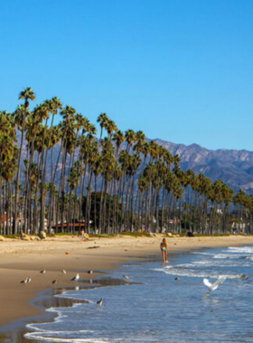  This image shows that East Beach in Santa Barbara offers a peaceful environment with sandy shores, perfect for unwinding, enjoying the sun, and taking in the stunning ocean views.