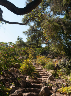 This image shows that the Santa Barbara Botanic Garden features native California plants in beautifully designed gardens, offering visitors a chance to connect with nature while enjoying stunning views.