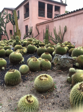 This image shows that Lotusland in Santa Barbara is a botanical garden filled with exotic plants, including a variety of cacti, succulents, and water plants, creating a unique, peaceful space for nature lovers.