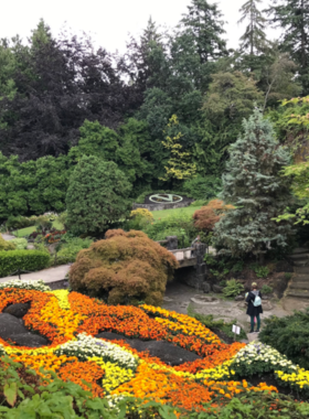 This image shows the beautifully landscaped gardens at Queen Elizabeth Park in Vancouver, featuring vibrant flowers, trees, and scenic views of the city skyline."