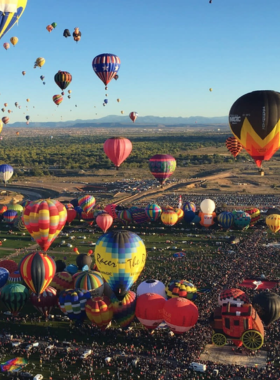 This image shows a vibrant collection of colorful hot air balloons lifting off during the Albuquerque International Balloon Fiesta.