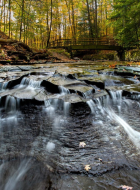 This image shows a peaceful, scenic trail winding through Cleveland Metroparks, with lush greenery on either side, offering a perfect spot for walking or hiking in nature.