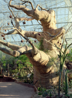  This image shows a tropical garden inside the Cleveland Botanical Garden, filled with vibrant flowers, lush green plants, and a warm atmosphere perfect for plant lovers.