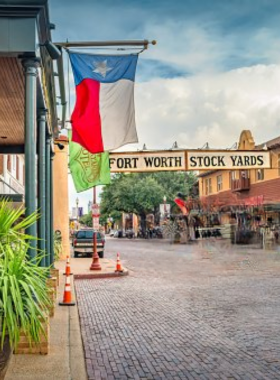 This image shows the historical significance of the Fort Worth Stockyards, with cattle being driven through the streets as part of the city's rich cowboy and cattle-ranching heritage. The Stockyards serve as a living museum where visitors experience Texas' Wild West history.