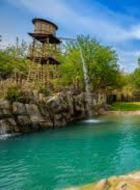 This image shows a view of the Fort Worth Zoo’s animal exhibits, featuring a variety of species from across the globe. The zoo is known for its conservation efforts and hands-on learning experiences, making it a family-friendly destination