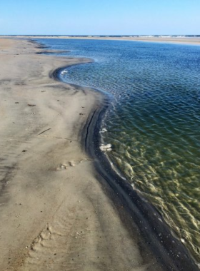 This image shows a serene beach at Little Talbot Island with white sand, gentle waves, and a clear blue sky. The untouched natural surroundings make it an ideal destination for relaxing, hiking, and connecting with nature's beauty.