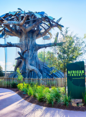 This image shows exotic animals at Jacksonville Zoo, including colorful flamingos by a pond and lush greenery. It captures the zoo’s dedication to wildlife conservation and education in a picturesque and family-friendly environment.