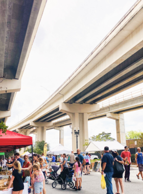  This image shows colorful stalls at the Riverside Arts Market, filled with handmade crafts, fresh produce, and local artwork. It reflects the community spirit and creative energy of Jacksonville’s popular Saturday market beneath the Fuller Warren Bridge.