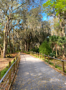 This image shows a peaceful trail at the Jacksonville Arboretum and Gardens, surrounded by lush greenery and trees. Visitors can enjoy walking through diverse ecosystems, including forests and wetlands, while learning about plant species through informative plaques. It highlights the serene beauty of the 120-acre natural space, making it a perfect destination for nature lovers and families looking for a tranquil outdoor experience.