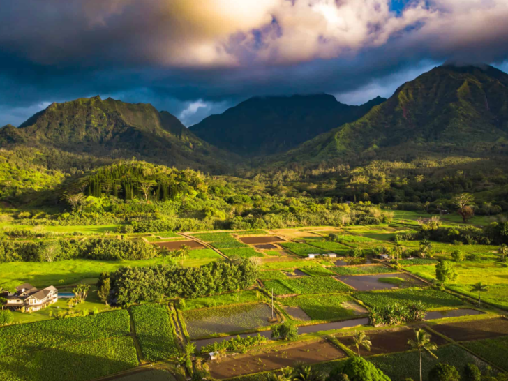 Explore Paradise: 15 Things to Do in Kauai