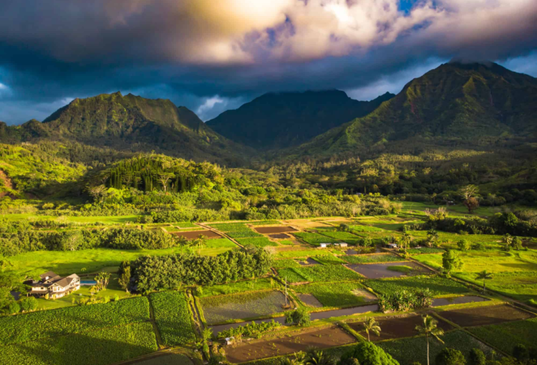Explore Paradise: 15 Things to Do in Kaua'i