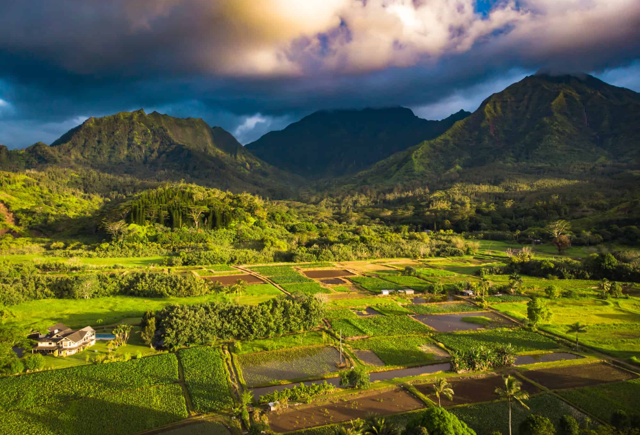 Explore Paradise: 15 Things to Do in Kaua'i