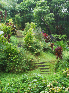 "This image shows the challenging Kalalau Trail on Kaua’i, a rugged hiking path through dense tropical rainforest, leading to the remote Kalalau Beach on the Napali Coast."