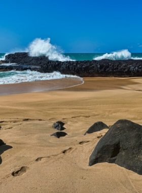  "This image shows Koke’e State Park, a lush area on Kaua’i’s West Side, featuring breathtaking views of Waimea Canyon and the Napali Coast’s rugged cliffs."

