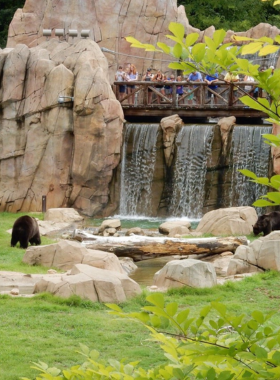 "This image shows a lion at the Memphis Zoo, a popular family-friendly destination in the city that houses over 3,500 animals from around the world."