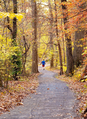  "This image shows the lush green spaces of Overton Park in Memphis, providing a peaceful retreat with trails, gardens, and cultural attractions like the zoo and art museum."
